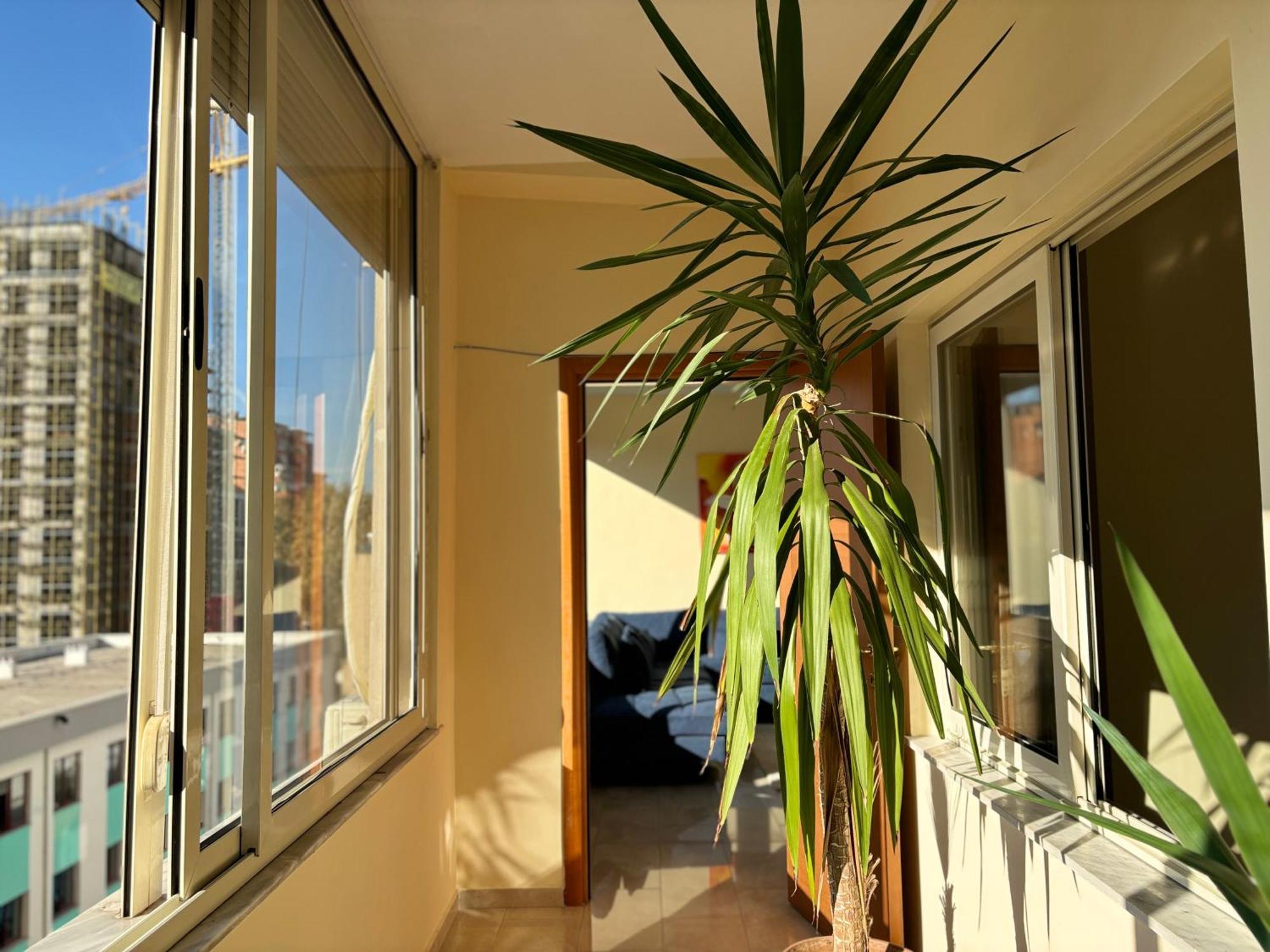 Tam 2Bdr Center Taiwan Apartment تيرانا المظهر الخارجي الصورة